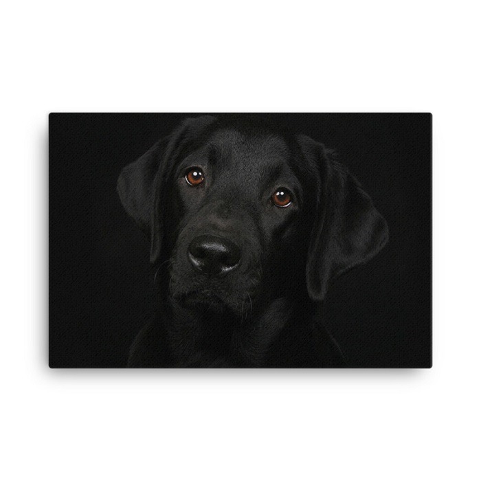 Black Labrador Dog Wall Art Hd Portrait
