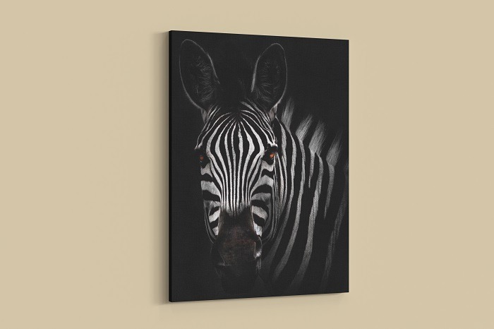 Zebra Wall Art Hd Portrait Beautiful Living Room Decor Wall Prints